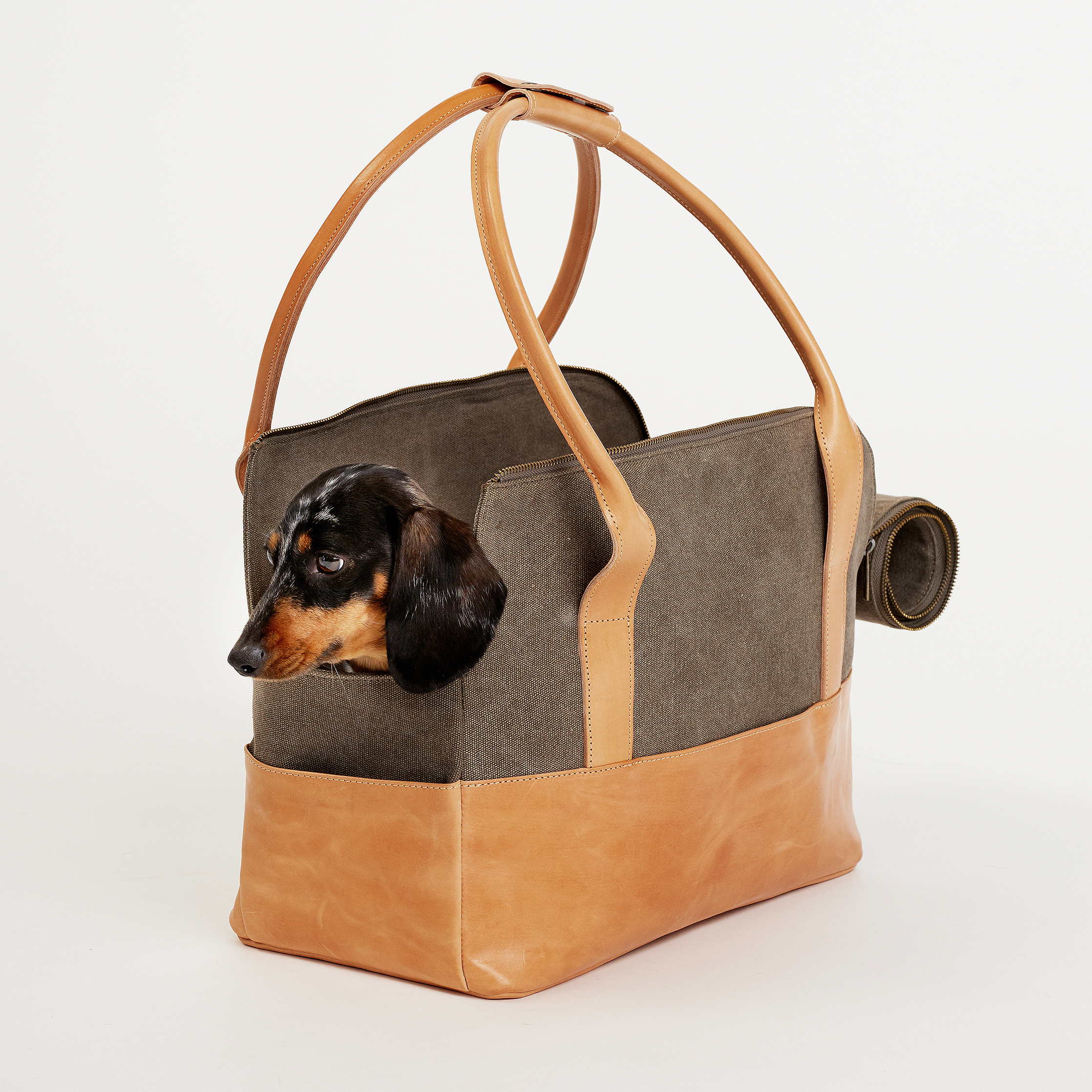 Cestovní taška pro psy - Carrier Roma - zvìtšit obrázek